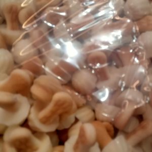 Setas de chocolate(blanco)